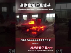 Ballenmolenvoeringen Hoogchroomwit gietijzer